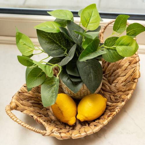 Water Hyacinth Curved Basket with Handles - Image 2