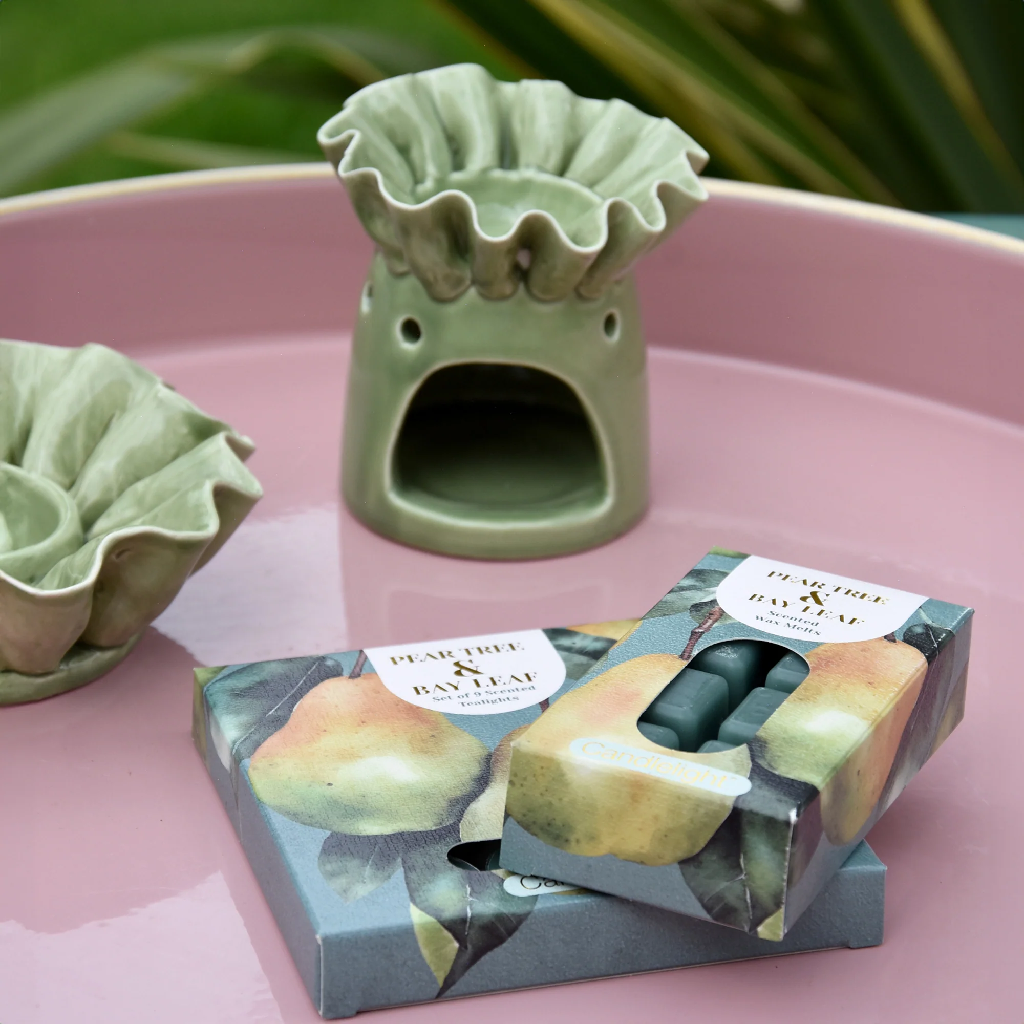 Pack of 8 Pear Tree & Bay Leaf Wax Melts - Image 2