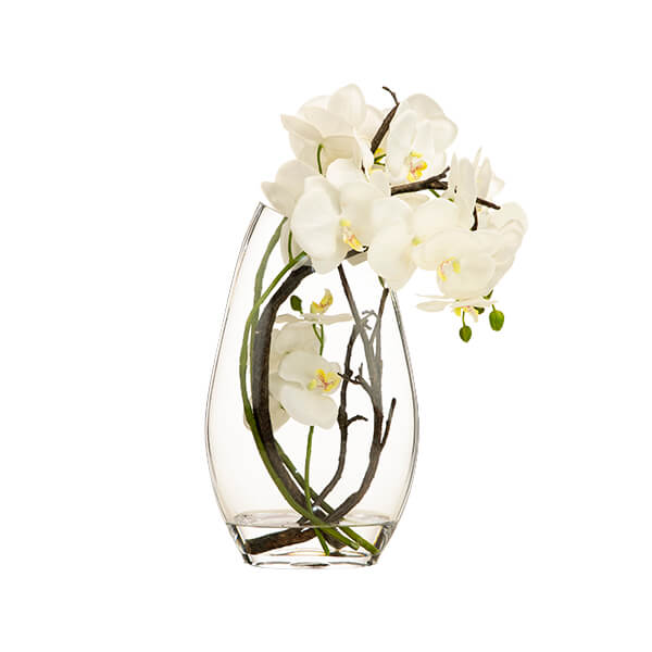 Elegant Bloom White Orchid in Clear Glass Vase - Image 2