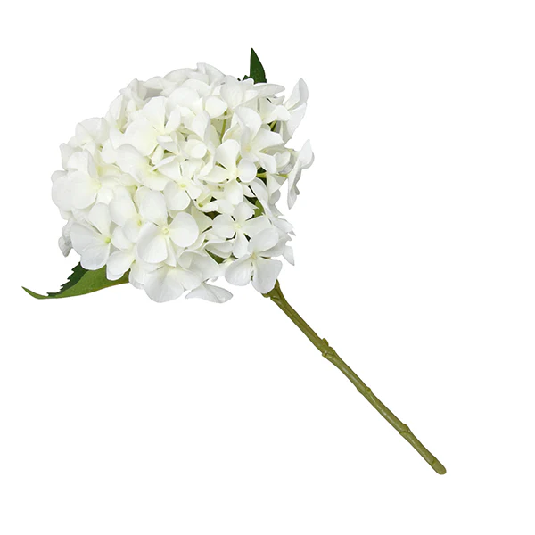 Single White Hydrangea Blossom - Image 2